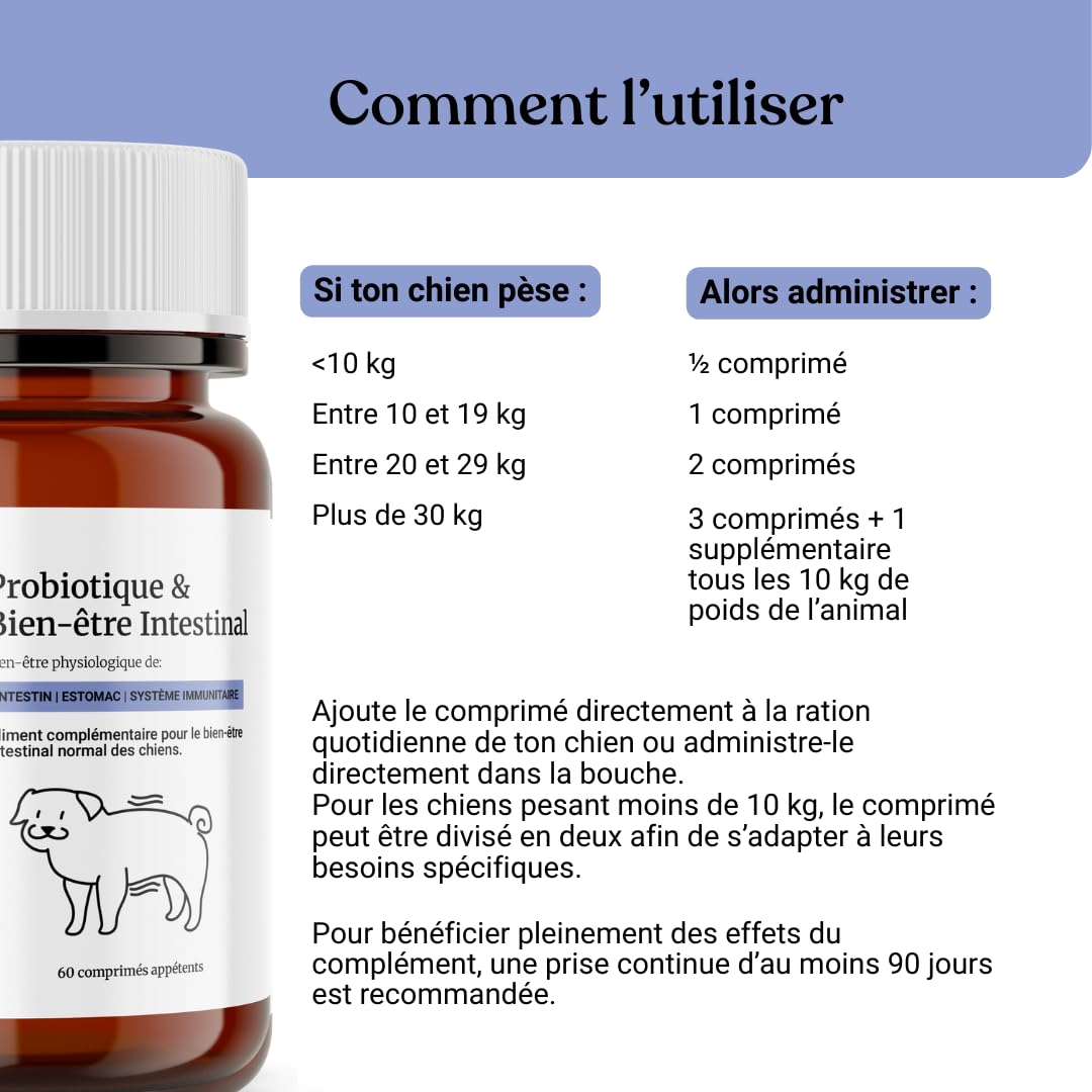 BAU Probiotiques pour Chien, Ferments Lactiques Canins, Soutien Gastro-Intestinal, Équilibre de la Flore Intestinale avec Ingrédients Naturels – 60 Comprimés