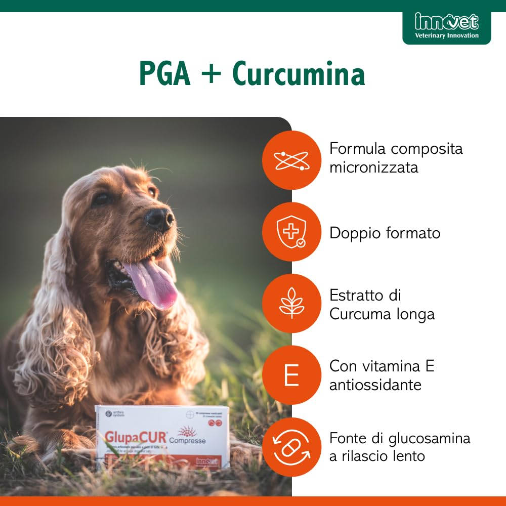 Glupacur Sollievo articolare per cani e gatti di tutte le età con PGA (Palmitoil-Glucosamina), Estratto di curcuma longa e Vitamina E – Alimento complementare – 30 compresse