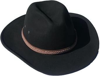 100% Wool Felt Fedora Stetson hat 