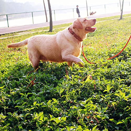 Careble Dog Leash Rope Nylon Pet Leashes Soft Thicken Handle Strong 6 Foot Snap Hook And Slip Lead Leash For Large Medium Dogs Small Puppy #TOP2