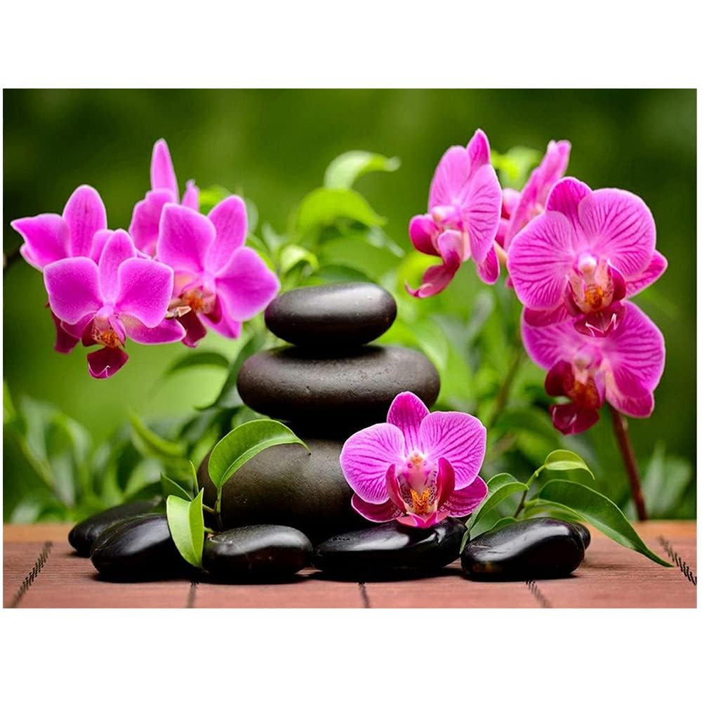 DIY Square Diamond Painting Orquídea Piedras cuadradas 50x40cm 5D Painting Set Full Drill Bordado Imágenes Grandes Pintura Pintura punto diamante por números Stitch Diamantes Pintura Niños Pared Decor