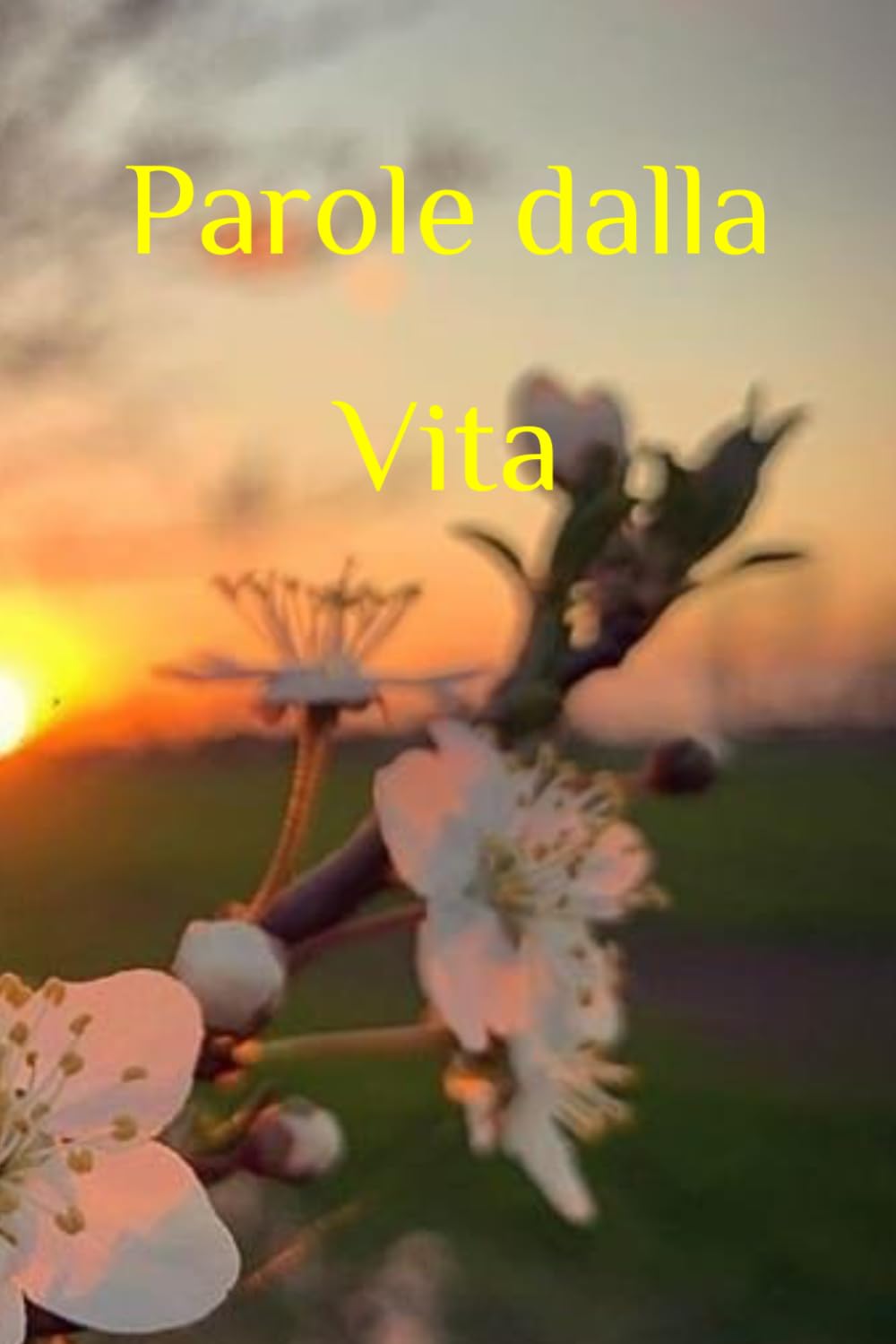 PAROLE DALLA VITA