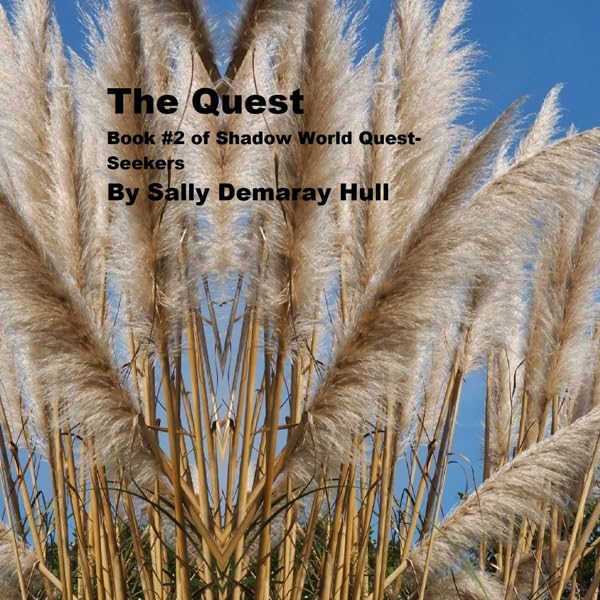 Cover art for The Quest: Shadow World Quest Seekers, Book 2
