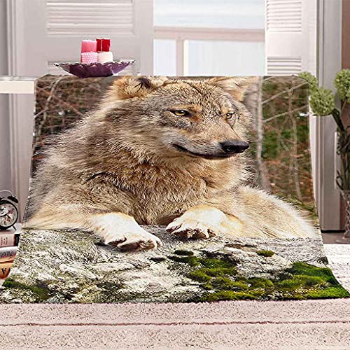 Couverture microfibre douce loup plaid flanelle haute densité - 2