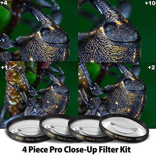 Nikon Nikkor Z 24-200Mm F/4-6.3 Vr Lens Usa Model (20092) Bundle With 64Gb Ultra Sdhc Memory Card + Padded Lens Case + 70-Inch Professional Monopod + 8-Piece Filter Kit (Macro, Uv, Cpl, Fld) + More #TOP7