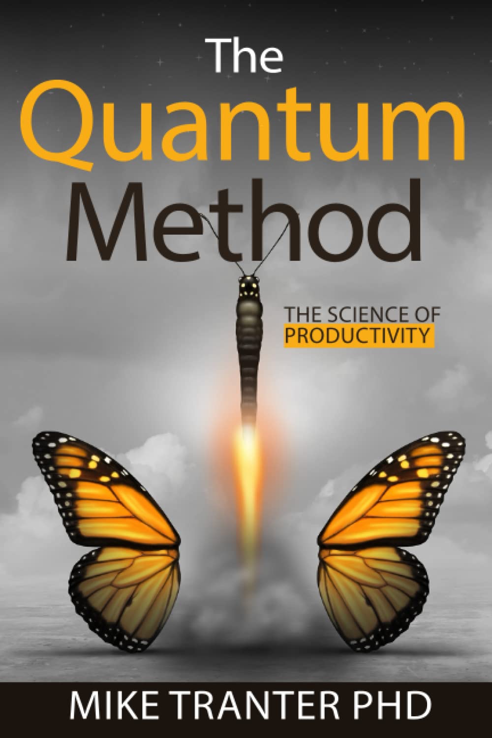 The Quantum Method: The Science of Productivity