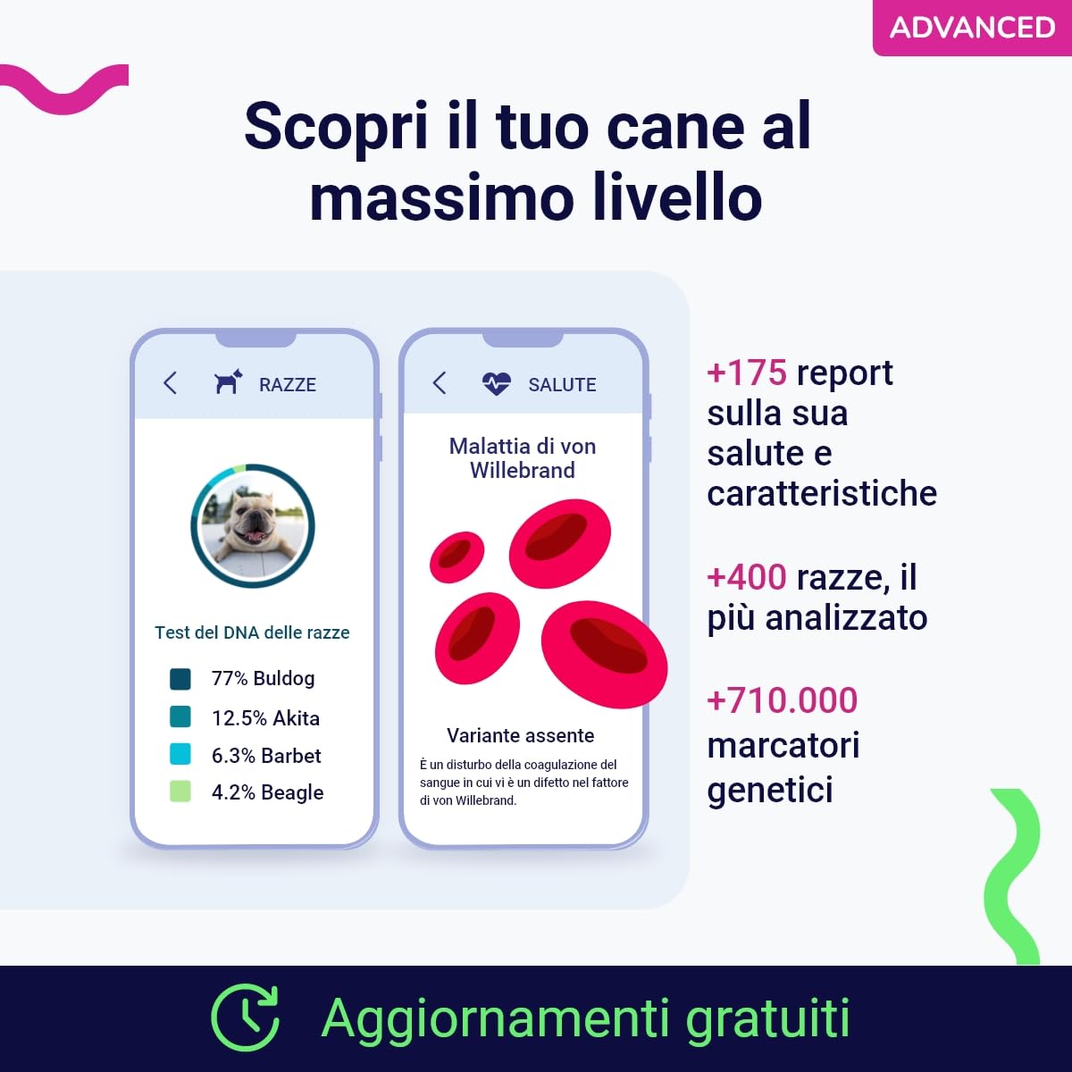 Koko Genetics Dna Test per Cani Advanced - (+175 Rapporti di Razze, Salute e Tratti) - Aggiornamenti Senza Costi aggiuntivi