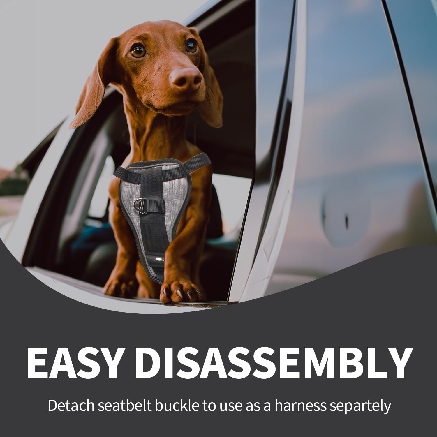 Fibbia Di Sicurezza Per Cintura Auto Cani In Alluminio Aerospaziale - Resistente Fino A 320kg, Viola - Foto 8