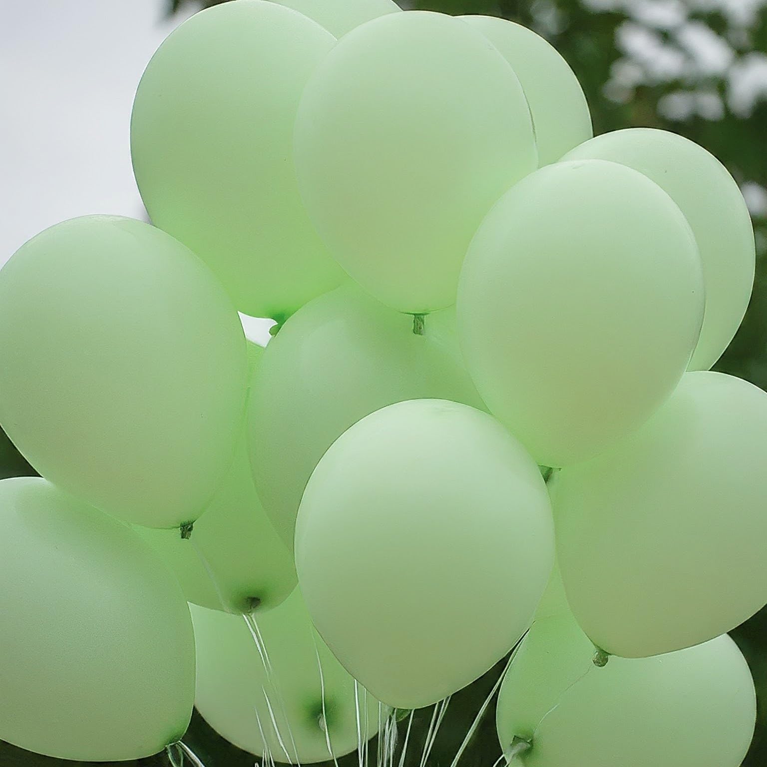 AMFIN (Pack of 50) Pastel Birthday Decoration Item Balloons - Green 4