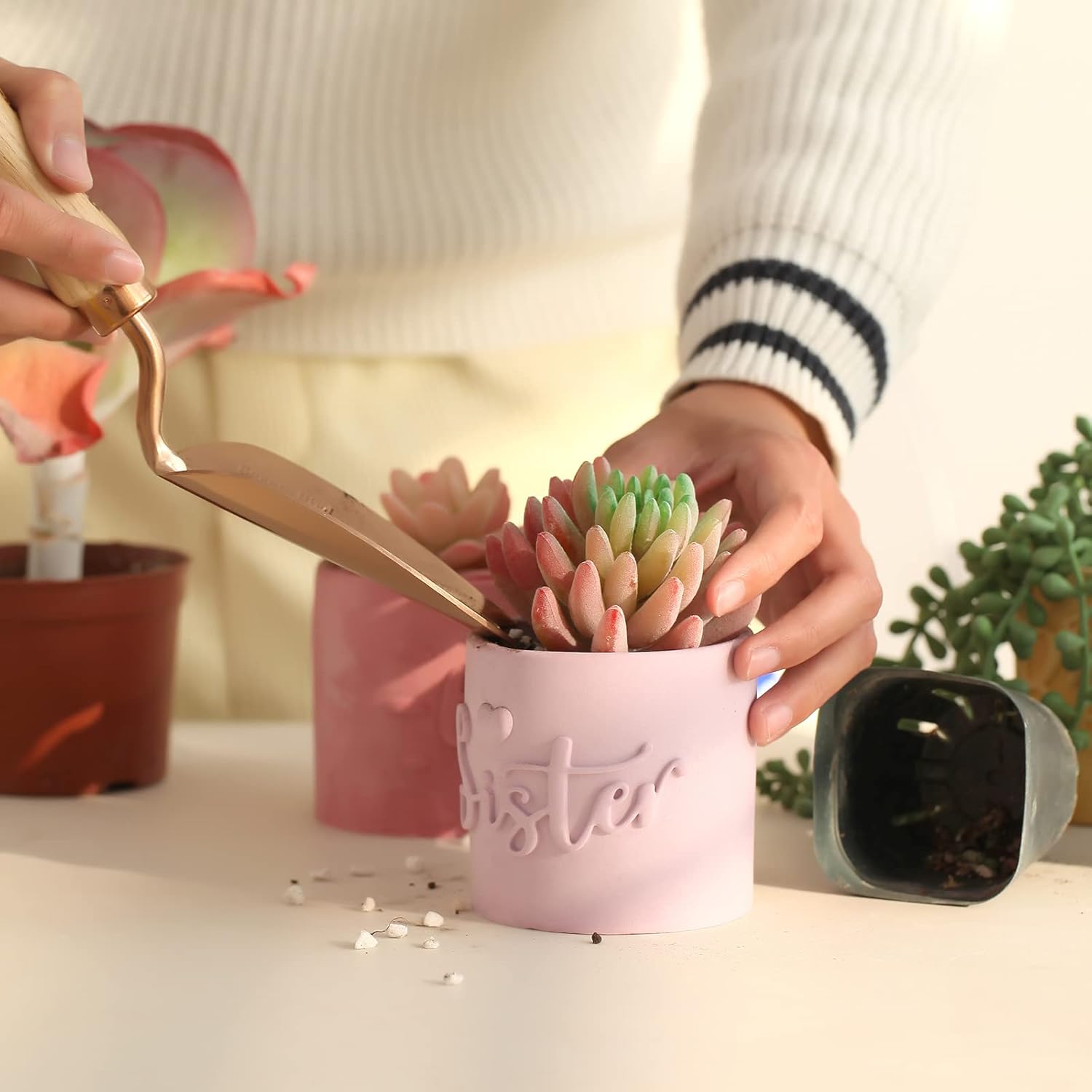 Concrete Planter Mold with Tray DIY Succulent Pots Best Friend Ever Gift Making Tools Homemade Plaster Candle Jar Silicone Mould