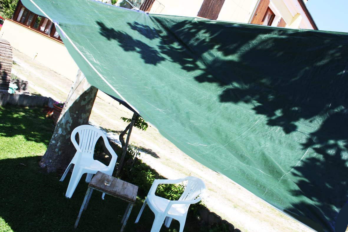 Labor 68291 Telone PVC Rinforzato con Occhielli, 4X6 M, Verde