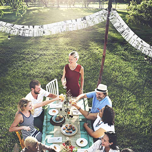 Willbond 6 Pieces 10 Feet Fringe Garland Foil Fringe Garland Metallic Tinsel Foil Garland Wall Hanging Fringe Banner For Wedding Birthday Parties Holiday Decorations And More (Silver) #TOP5