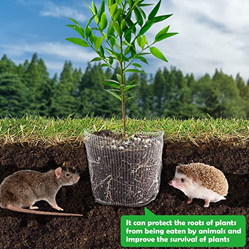 12 Stück Pflanzkorb Wühlmausschutz, Wühlmauskorb, 1/3/5 Gallonen Metallnetzbeutel aus Edelstahl,Pflanzenwurzelschutz für Schutz der Wurzeln von Bäumen, Blumen, Gemüse (12PCS)