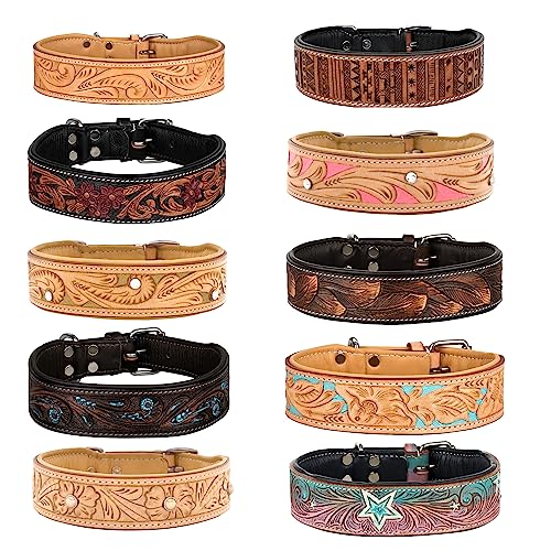 MICHUR GoldenEye Hundehalsband Leder, Lederhalsband Hund, Halsband, Leder, BEIGE, Caramel, Braun, Gold, MIT STANZUNGEN UND FARBHINTERLEGUNG mit Strasssteinen, in verschiedenen Größen erhältlich