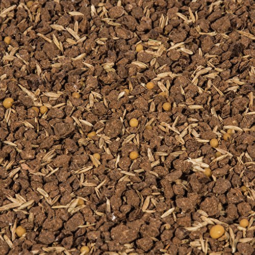COMPO SAAT Rasen Reparatur Komplett-Mix+, Rasensaat, Keimsubstrat,Langzeit-Rasendünger und Bodenaktivator, 4 kg, 20 m² - 3