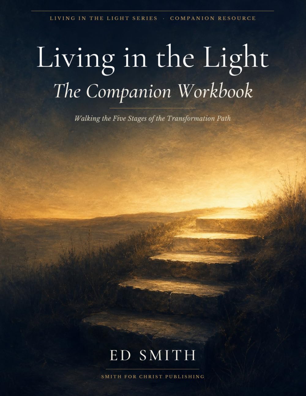 Living in the Light: The Companion Workbook: Walking the Five Stages of the Transformation Path (Living in the Light Series)