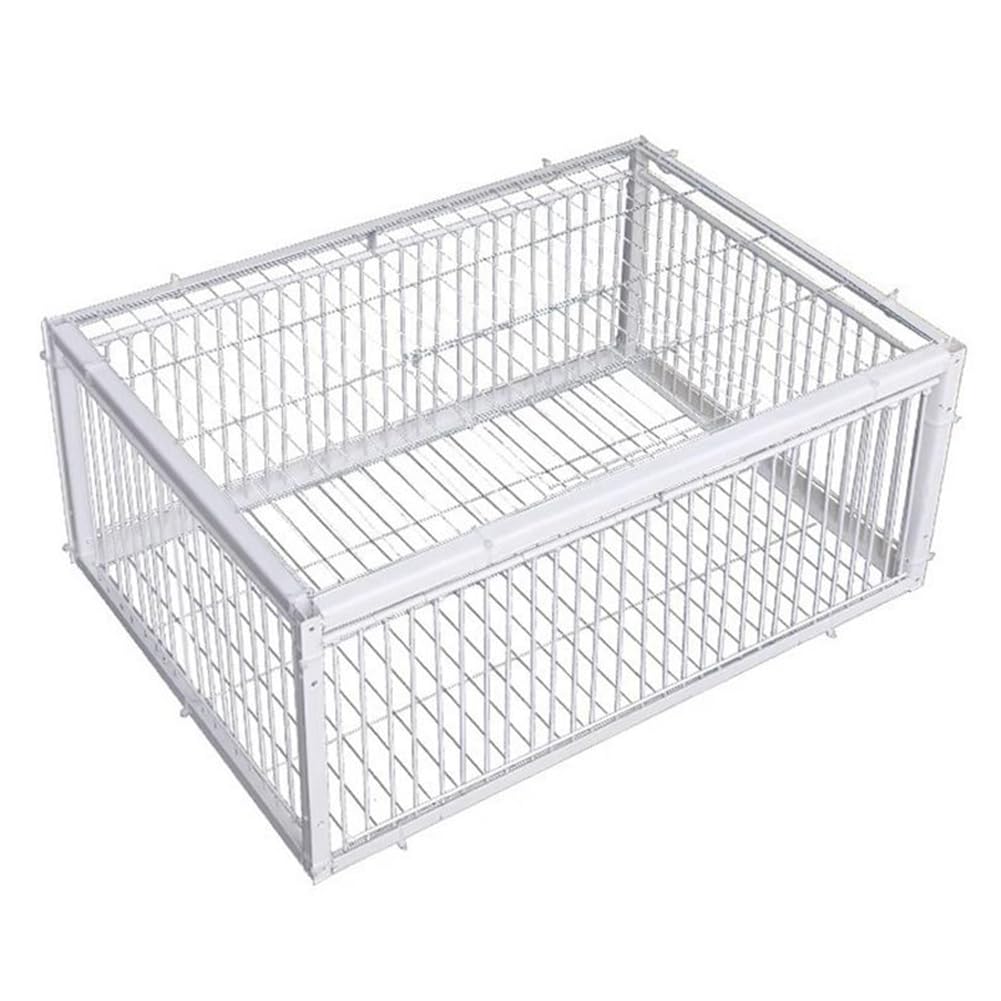 Cage à Oiseaux Portable, Petite, Épaisse et Cryptée, Piège Automatique pour la Collecte des Pigeons