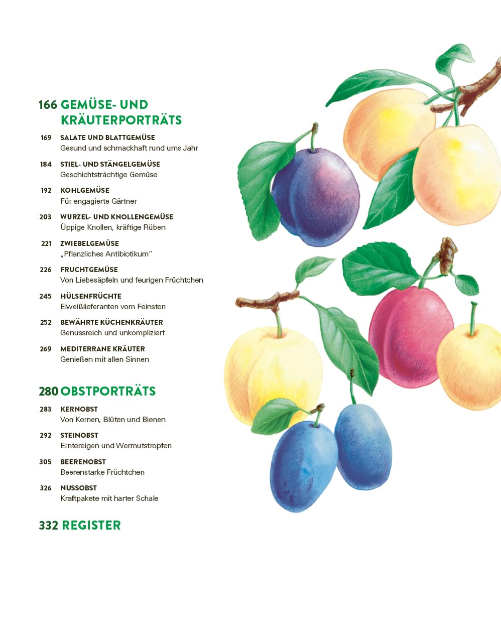 Das große Gemüse- und Obstgartenbuch: Planen, anbauen, pflegen und erfolgreich ernten für Selbstversorger