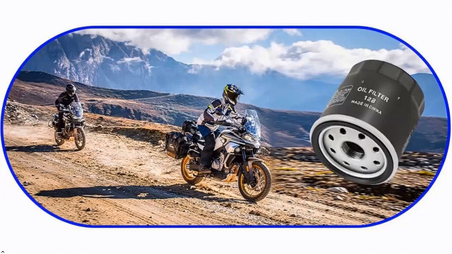 Amazon.com: KLWZH 49065-0724 Oil Filter 49065-7010 AM107423 for