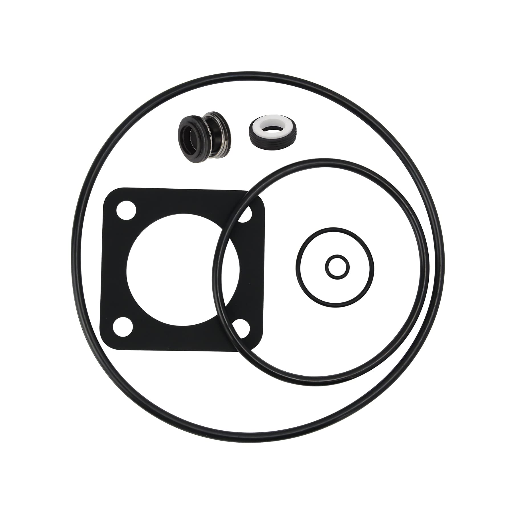 O-Ring Repair Rebuild Kit for Sta-Rite P2RA & P2R Maxe-Glas/Dura-Glas Pump Kit 54 Replacement 1998 to Current