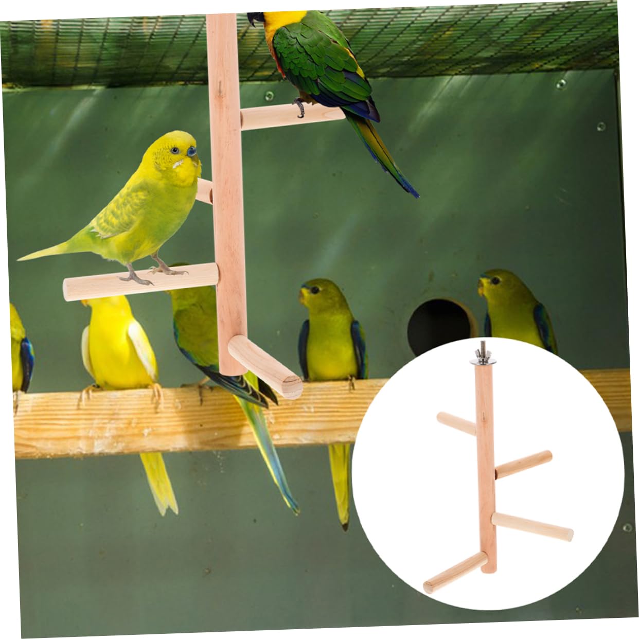 YARNOW 8 Piezas De Juguete para Pájaros Perca para Periquito Juguete Percha De Madera Natural para Pájaros Perchas para Cacatúas Soportes para para Loros Accesorios para