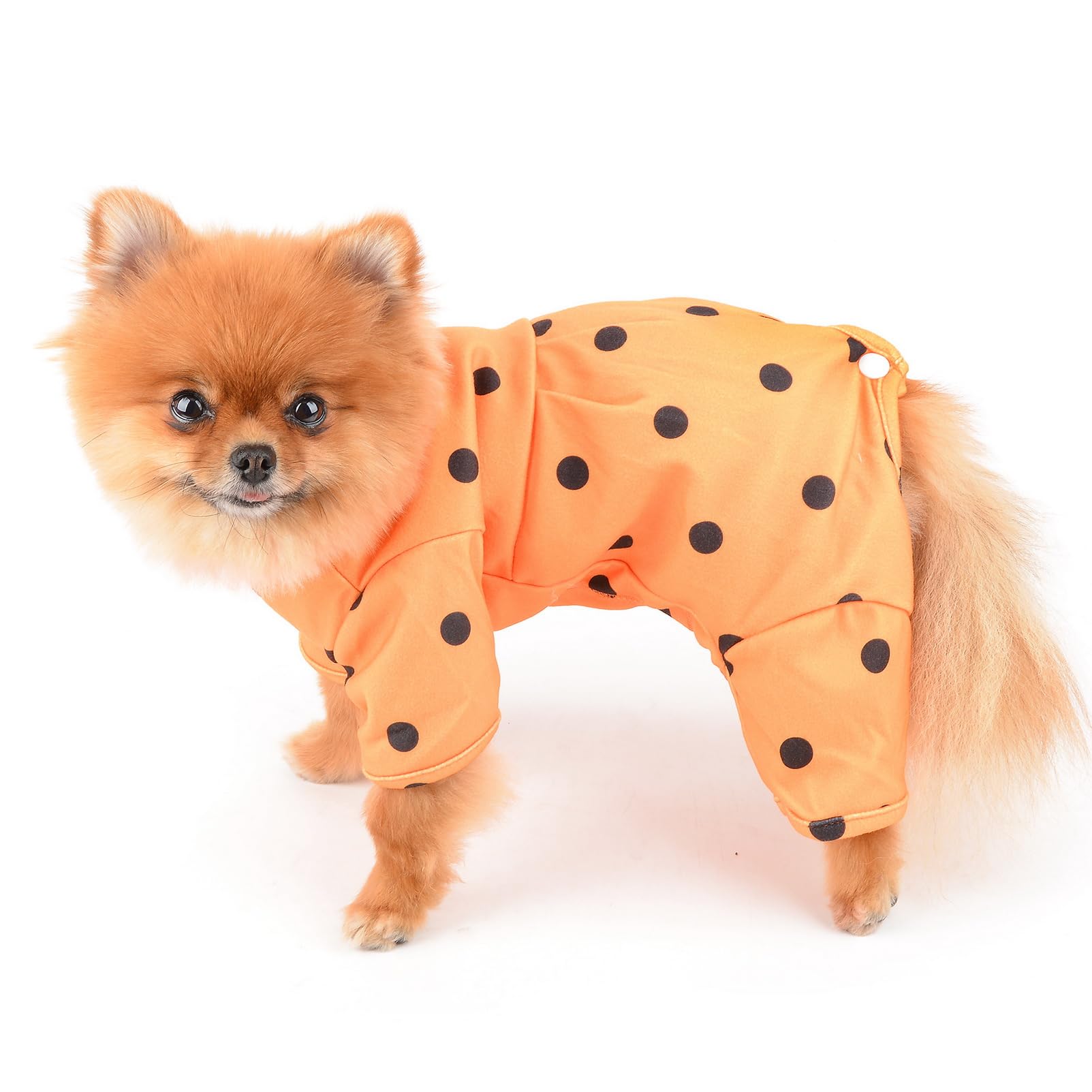 SMALLLEE_LUCKY_STORE Small Dog Clothes Cute Retro Dots Puppy Pajamas Pjs Belly Cover Cat Pyjamas Stretchy Jumpsuit Warm Sleepwear Outfits for Yorkie Chihuahua,Orange,M - Image 2