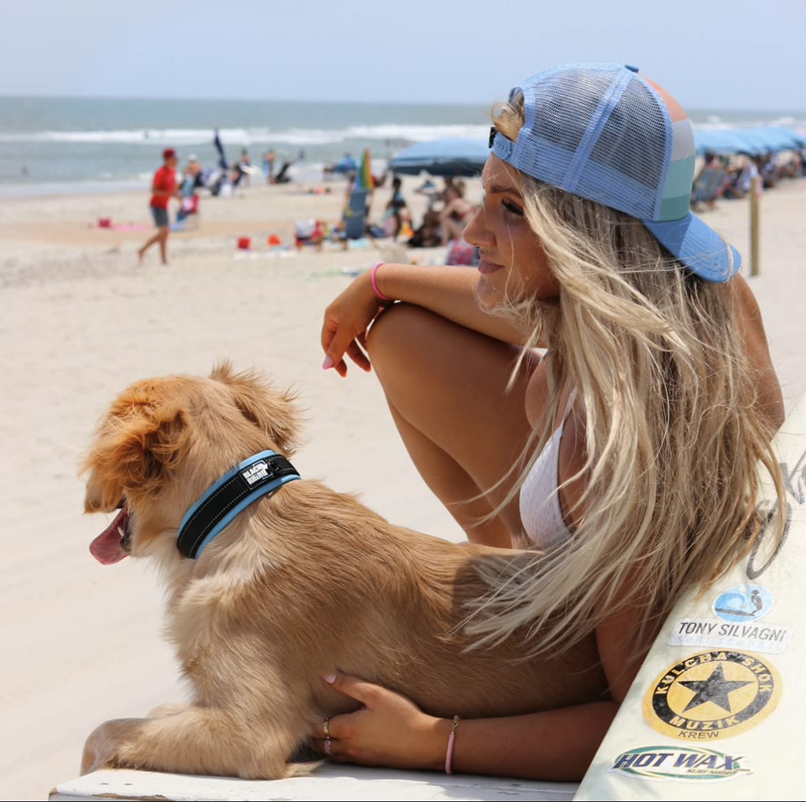 Black Rhino il collare comfort (xlarge, blu/grigio), antipulci per cani