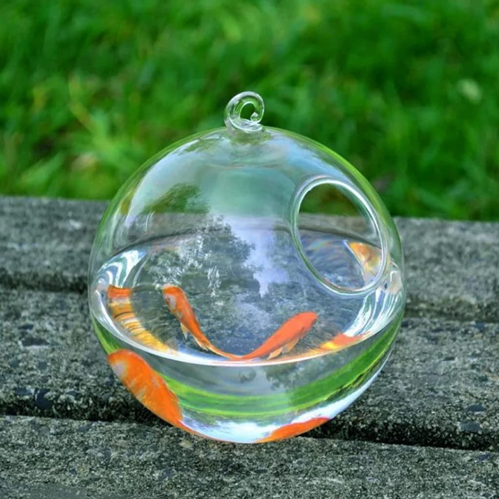 Cuenco de almacenamiento, esférico de cristal hecho a mano para peces de forma redonda, colgante de cristal, pecera, terrario transparente, color blanco