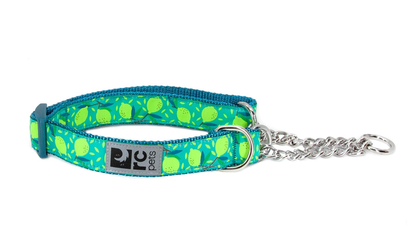 RC Pets 1" Martingale Training Dog Collar, Large, Lemonade