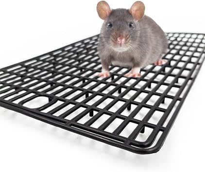 Plastic Mesh Tray for Dogs, Cats & Small Pets, Small 15.7x9.4 in