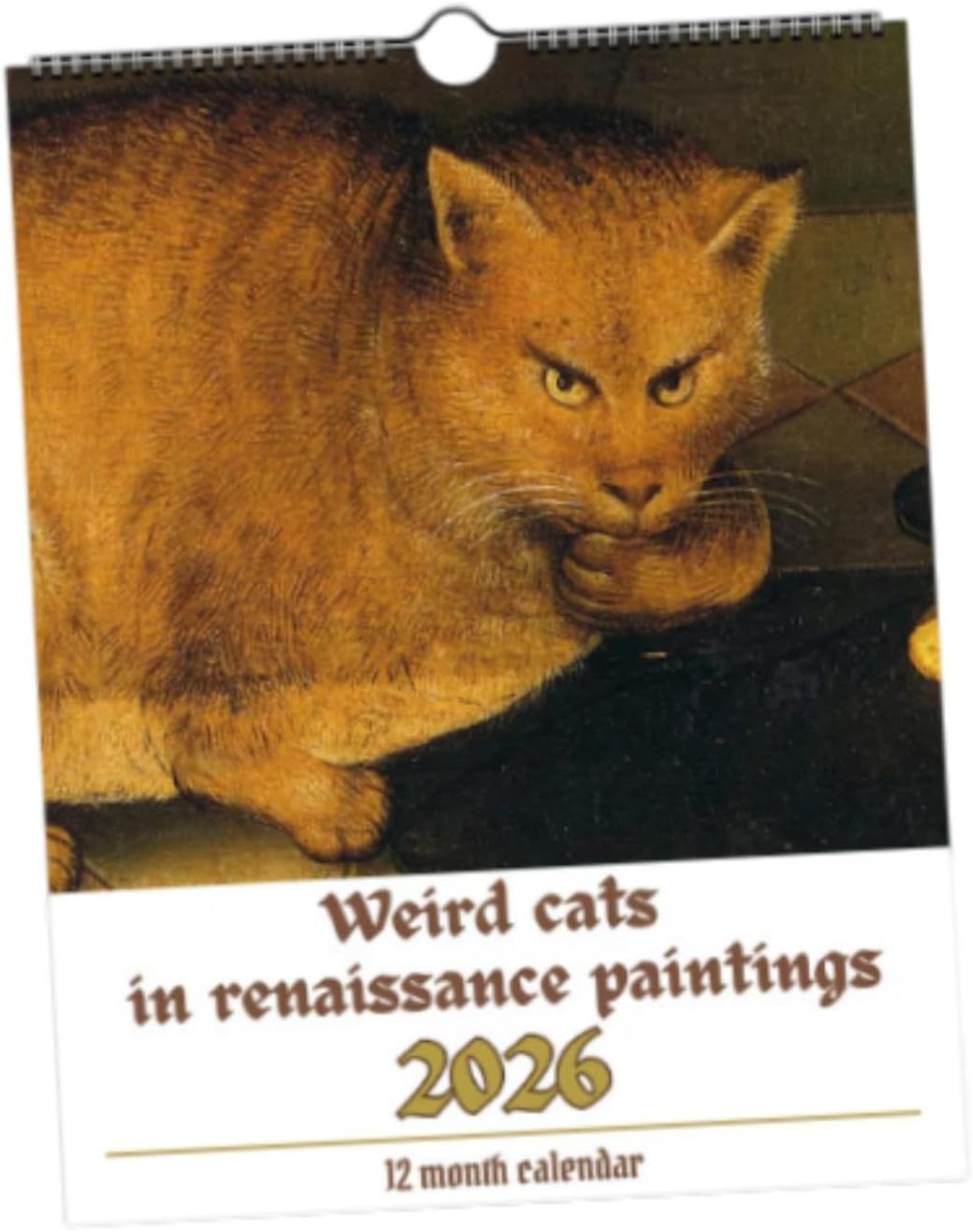 Cat Wall Calendar 2026 Decoration Unique Hanging for Office Shop Living Room L|Business & Industrial|Office|Office Supplies|Other Office Supplies