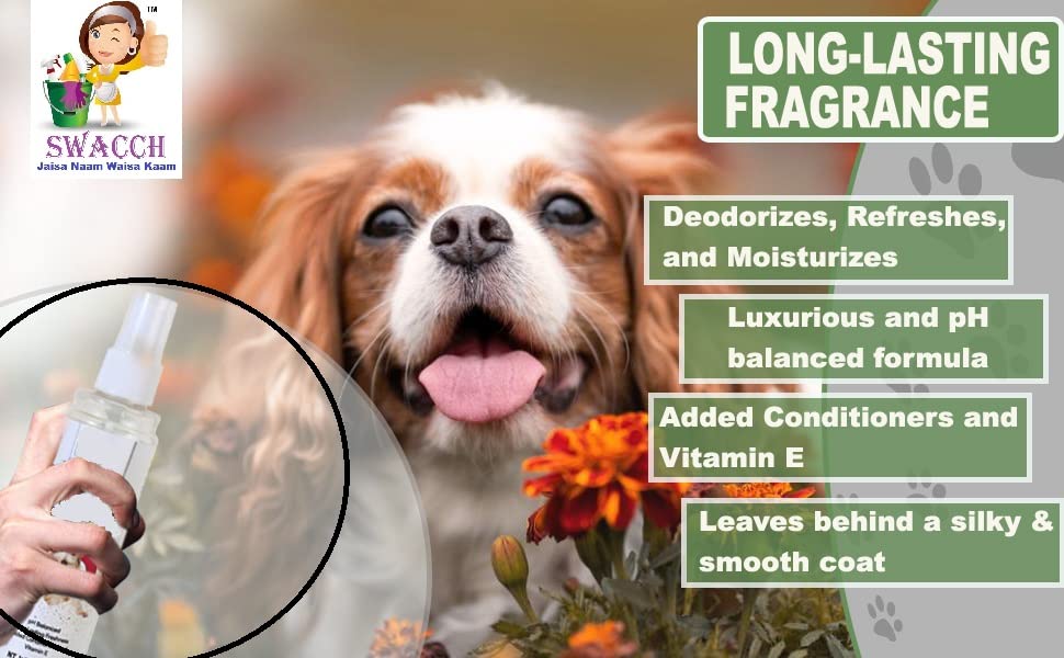 PET Aqua Odour Remover (Combo Pack of 5) 2