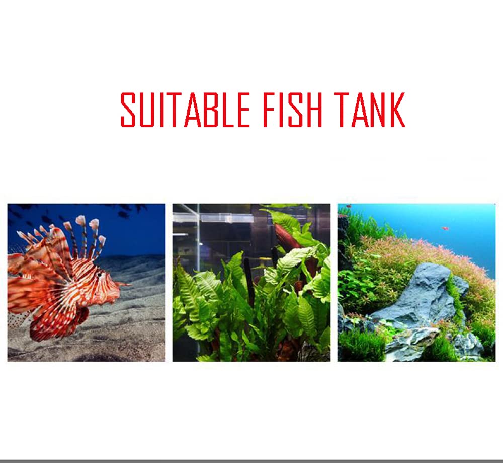 Termometro per acquario Siqi, termometro digitale per acqua trasparente a led ad alta precisione con letture accurate della temperatura per anfibi e rettili terrario