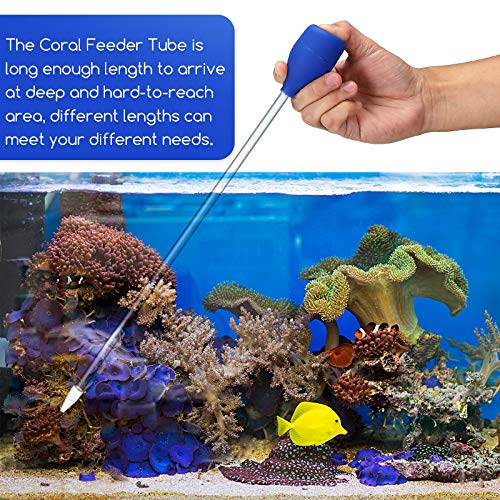 2 Pieces Coral Spot Feeder Tube Long Acrylic Marine Fish Reef Feeding Tool and 2 Pieces Stainless Steel Straight and… - Image 8