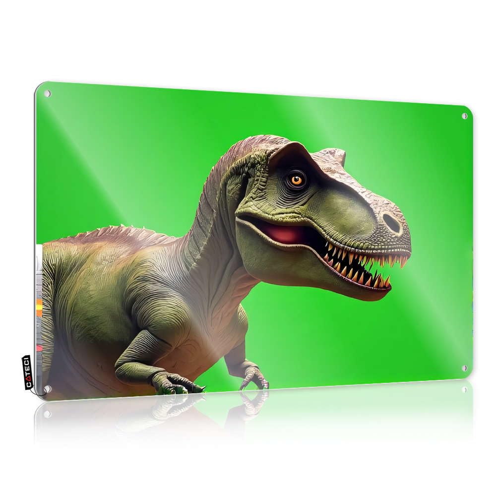 Fzfn Colour Emo Designer Matal Sign | A Fierce Tyrannosaurus Rex With An Open Mouth Displaying Sharp Teeth Farmhouse For Room Living Room(30X40cm)