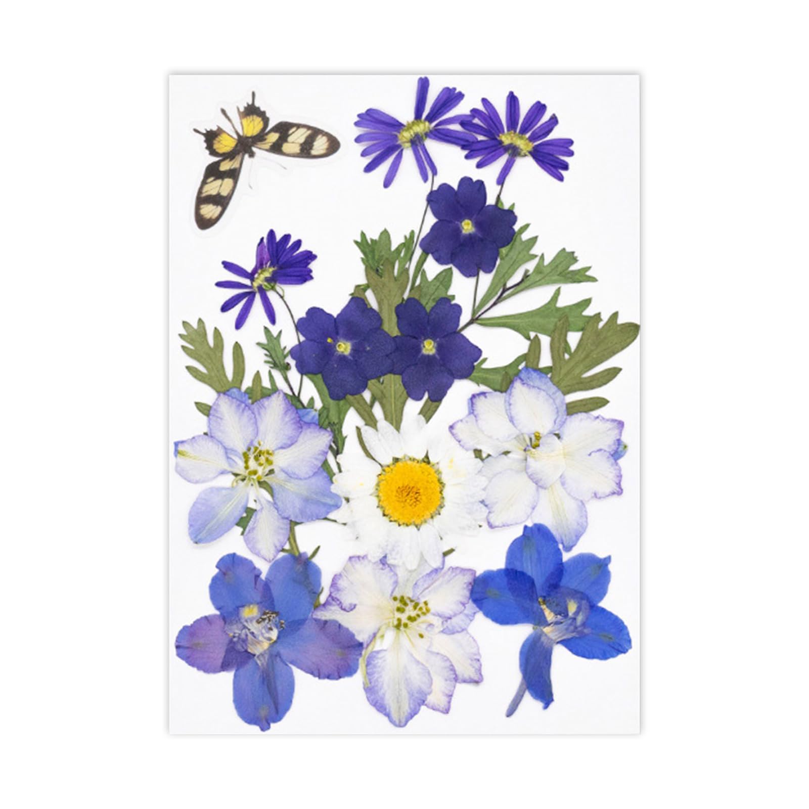 PANGBOER Dried Pressed Flower Art Craft Embellishment Supply for Resin Mold Bookmarks Jewelry Making Scrapbooking Dried Flower Florets