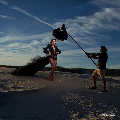 Miniatura 3 de Westcott Inserto de interruptor Bowens