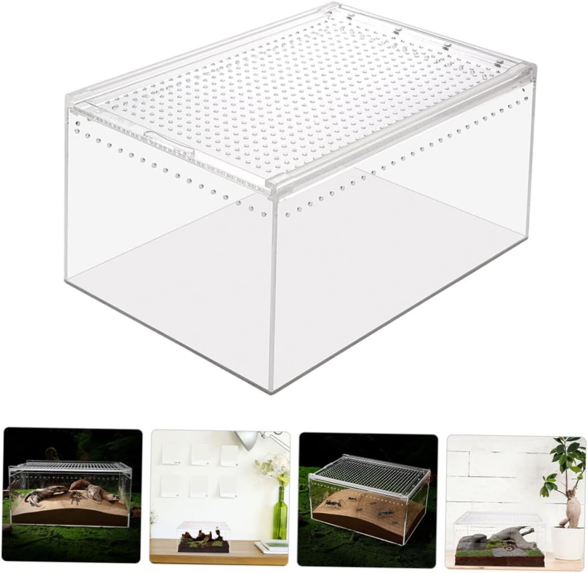 Practical Reptile Habitat Box Enclosure for Tarantulas Lizards and Small Animals Easy Observation No Assembly Required