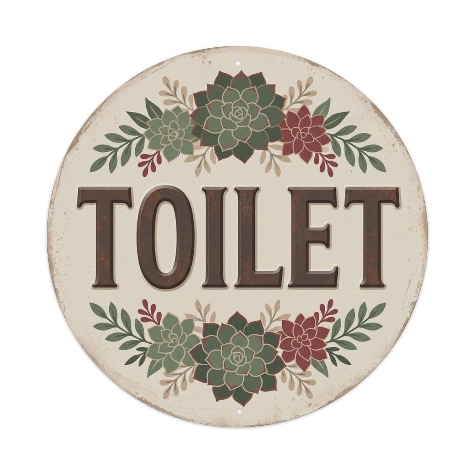 Okahys 8X8inch(20X20cm) Toilet(Wc) Signage Succulent Vintage Metal Tin Sign