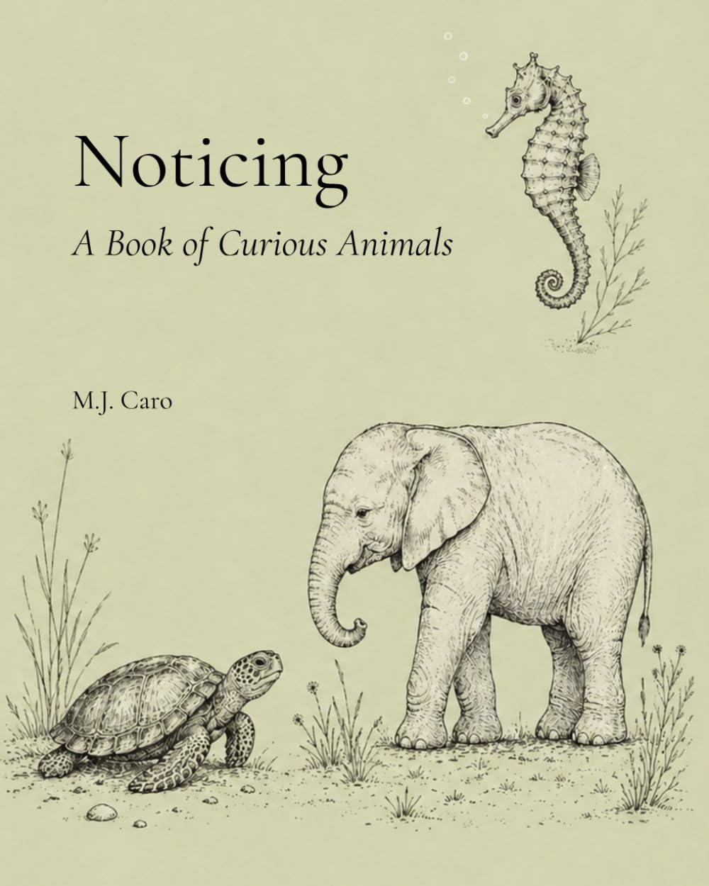Noticing: A Book of Curious Animals (The Noticing Collection)