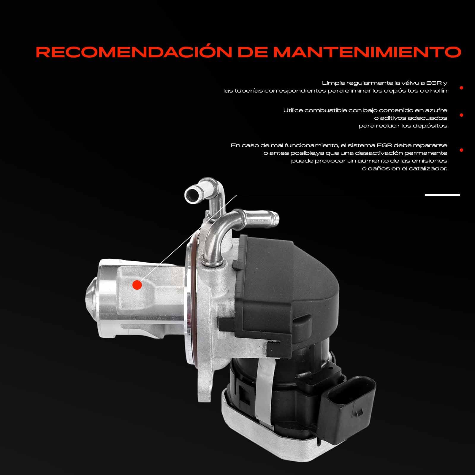 Frankberg Válvula EGR 6401400760 | Compatible con: Clase B W245, Clase A W169