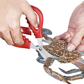4 Pcs Seafood Scissors for Kitchen Multifunctional Seafood Fish Crab Shrimp Lobster Scissors Stainless Steel Shears,Red and black