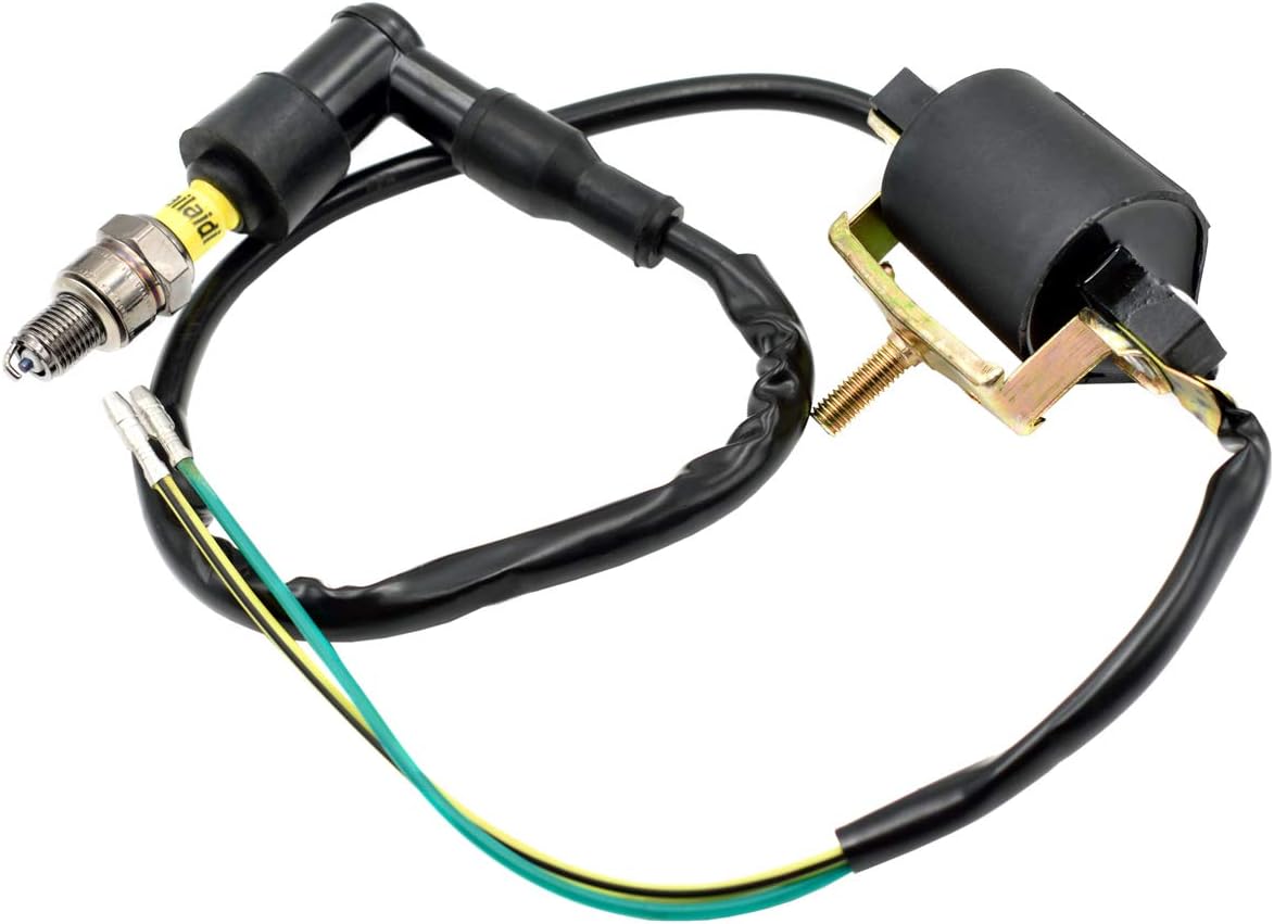 Buy Royitay Wiring Loom Magneto Ignition Coil Cdi Kill Switch Spark Plug Kits For 50cc 70cc 90cc 110cc 125cc140cc Kick Start Dirt Pit Bike Atv Online In Italy B07t8nzk4h