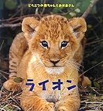 ライオン (どうぶつの赤ちゃんとおかあさん)