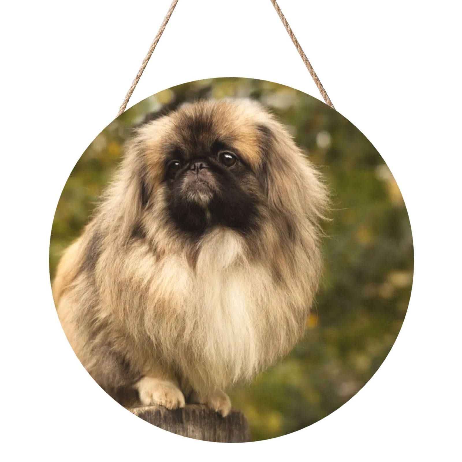 InOmak Pug Dog Printed, Round Wood Panel Painting 12 in, Wall Hanging Painting For Home
