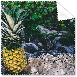 PineFruit Picture Nature Cleaning Cloth Phone Screen Glasses Cleaner 5pcs