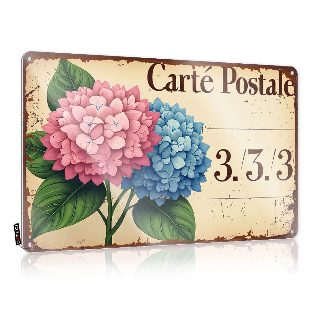Sujd Men's Colour Metal Sign Market Decor Vintage Art/Room Rules Tin Dark Cottagecore Wall Postcard With Pink And Blue Flowers. - Hats As