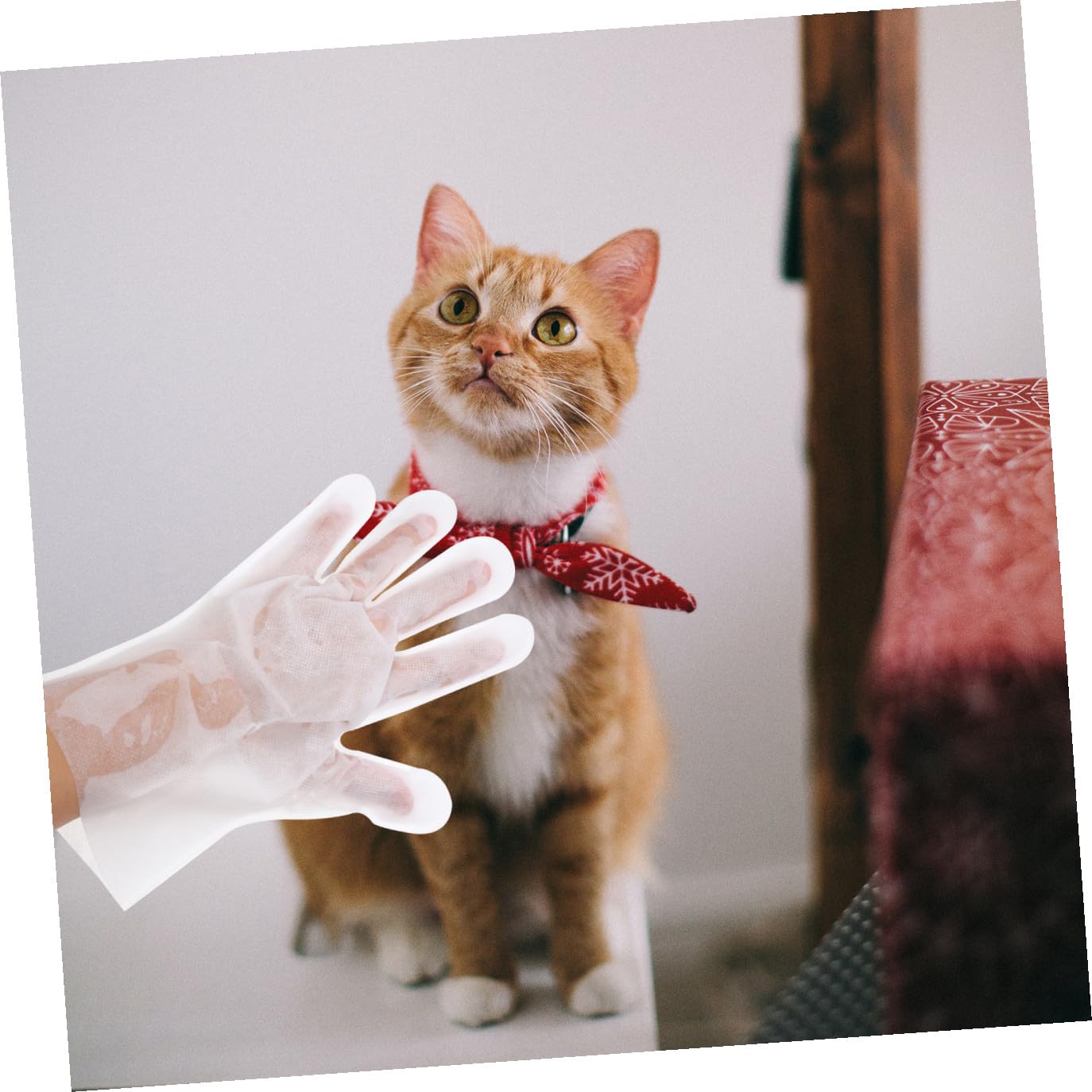 FOMIYES 18 Piezas Guantes toallitas Desechables para Mascotas Guante Cepillo para Gatos toallita para Cachorros toallitas de baño para Gatos el Gato toallitas húmedas limpiando Suministros