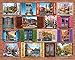 Springbok Puzzles - Windows to the World - 1000 Piece Jigsaw Puzzle - Large 30 Inches by 24 Inches Puzzle - Made in USA - Unique Cut Interlocking Pieces
