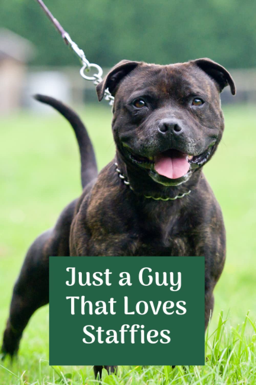 Just a Guy that loves Staffies - 120 Page - Blank Lined Journal Notebook